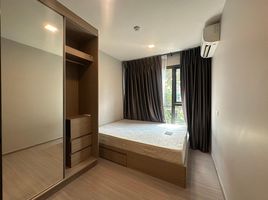 1 Bedroom Condo for rent at The Privacy S101, Bang Chak