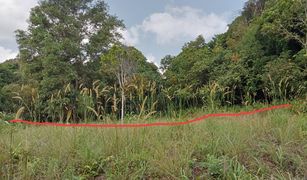 N/A Land for sale in Ko Pha-Ngan, Koh Samui 