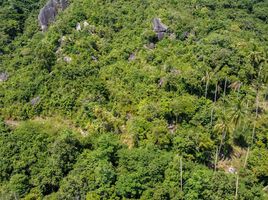  Land for sale in Maret, Koh Samui, Maret