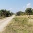  Land for sale in San Kamphaeng Chiang Mai, Buak Khang, San Kamphaeng, Chiang Mai