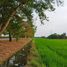  Grundstück zu verkaufen in Wang Noi, Phra Nakhon Si Ayutthaya, Wang Chula, Wang Noi