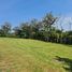  Land for sale in Huai Sak, Chiang Rai, Huai Sak, Mueang Chiang Rai, Chiang Rai