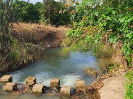  Land for sale in Kwian Hak, Khlung, Kwian Hak