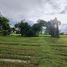  Land for sale in Doi Saket Chiang Mai, Sa-Nga Ban, Doi Saket, Chiang Mai