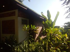 1 Bedroom House for rent at The Ocean Phangan Homestay, Ban Tai, Ko Pha-Ngan, Surat Thani