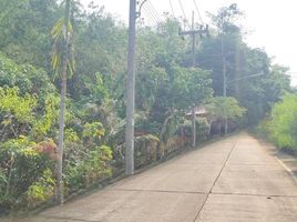  Grundstück zu verkaufen in Thalang, Phuket, Choeng Thale