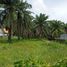 Land for rent in Si Sunthon, Phuket, Si Sunthon, Thalang