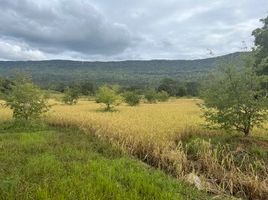  Grundstück zu verkaufen in Phakdi Chumphon, Chaiyaphum, Chao Thong