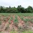  Land for sale in Nong Phai Kaeo, Pattaya, Nong Phai Kaeo