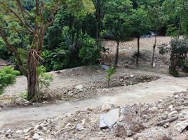  Land for sale in Jungceylon, Patong, Patong