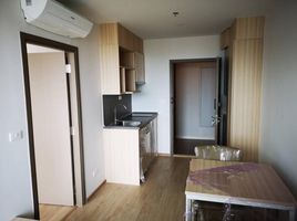 1 Schlafzimmer Wohnung zu verkaufen im Ideo O2, Bang Na, Bang Na