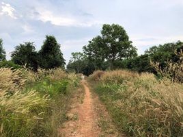  Grundstück zu verkaufen in Khao Saming, Trat, Saen Tung