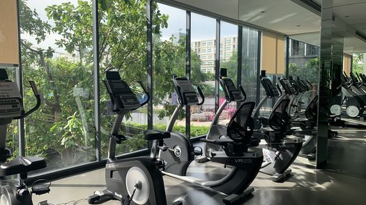 Фото 1 of the Communal Gym at IDEO New Rama 9