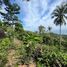  Land for sale in Maret, Koh Samui, Maret