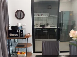 4 Bedroom Villa for rent at Supalai Primo Mahidol Chiangmai, Pa Daet