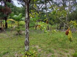  Land for sale in Brazil, Boca Do Acre, Amazonas, Brazil