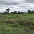  Land for sale in Nakhon Phanom, Phra Song, Na Kae, Nakhon Phanom