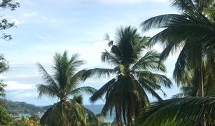 N/A Grundstück zu verkaufen in Ko Tao, Koh Samui 