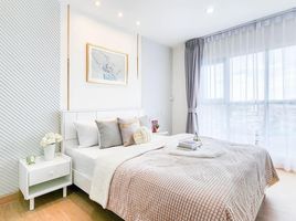 1 Schlafzimmer Wohnung zu vermieten im Aspire Sukhumvit 48, Phra Khanong