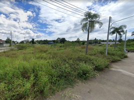  Grundstück zu verkaufen in Mueang Chiang Rai, Chiang Rai, Rim Kok