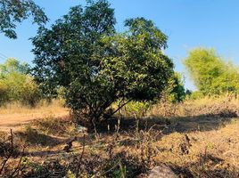  Land for sale in Thailand, Ban Thon, Sawang Daen Din, Sakon Nakhon, Thailand