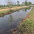  Land for sale in Ratchaburi, Ang Hin, Pak Tho, Ratchaburi