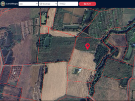  Land for sale in Pha Noi, Wang Saphung, Pha Noi