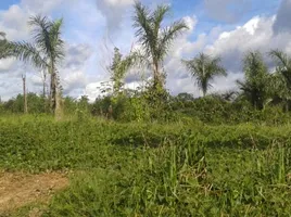  Grundstück zu verkaufen in Puerto Narino, Amazonas, Puerto Narino