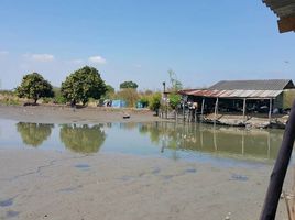  Grundstück zu verkaufen in Lat Krabang, Bangkok, Lam Pla Thio, Lat Krabang