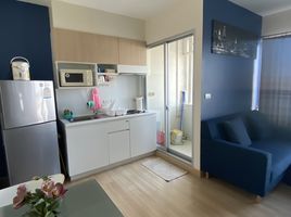 1 Schlafzimmer Appartement zu verkaufen im The Parkland Srinakarin, Samrong Nuea