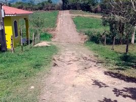  Land for sale in Colon, Sonaguera, Colon