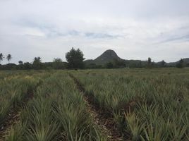  Grundstück zu verkaufen in Pran Buri, Prachuap Khiri Khan, Pran Buri