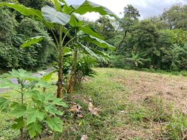  Land for sale in Alajuela, San Mateo, Alajuela