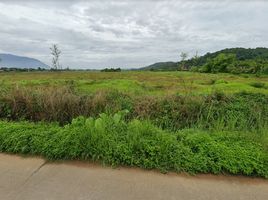  Land for sale in Chiang Dao, Chiang Dao, Chiang Dao