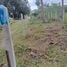  Land for sale in Koh Samui Surat Thani, Na Mueang