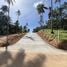  Land for sale in Maenam, Surat Thani, Maenam