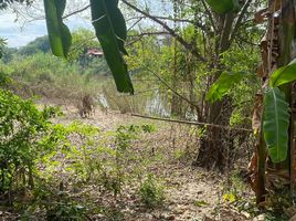  Grundstück zu verkaufen in Nakhon Luang, Phra Nakhon Si Ayutthaya, Nakhon Luang