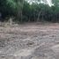  Land for sale in Lampang, Chomphu, Mueang Lampang, Lampang