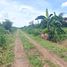  Land for sale in Na Mai, Pathum Thani, Na Mai, Lat Lum Kaeo
