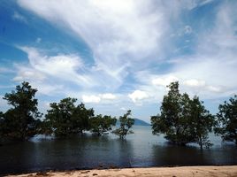  Grundstück zu verkaufen in Mueang Ranong, Ranong, Ngao