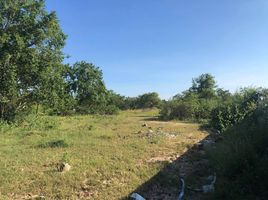  Land for sale in Wang Phong, Pran Buri, Wang Phong