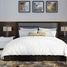 1 Bedroom Apartment for sale at Oasis 2, Oasis Residences, Masdar City, Abu Dhabi, United Arab Emirates