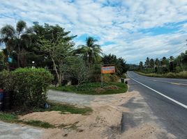  Grundstück zu verkaufen in Si Racha, Chon Buri, Khao Khan Song