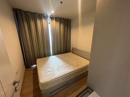 1 Schlafzimmer Wohnung zu vermieten im The Base Rama 9 - Ramkhamhaeng, Hua Mak, Bang Kapi, Bangkok, Thailand