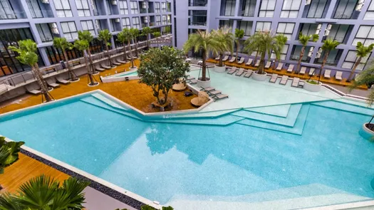 Фото 2 of the Communal Pool at CITYGATE