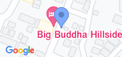 Map View of Big Buddha Hillside