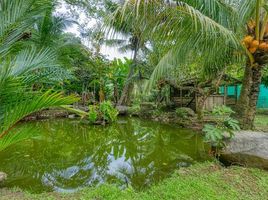 3 Schlafzimmer Villa zu verkaufen im Ojochal, Osa, Puntarenas