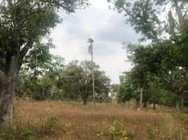  Land for sale in Bung, Mueang Amnat Charoen, Bung