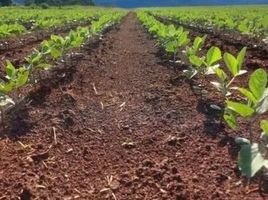  Grundstück zu verkaufen in Acorizal, Mato Grosso, Acorizal