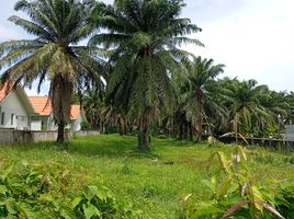  Land for sale in Si Sunthon, Phuket, Si Sunthon, Thalang, Phuket